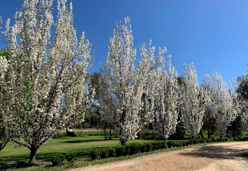 Photo of Outdoor in Mansfield