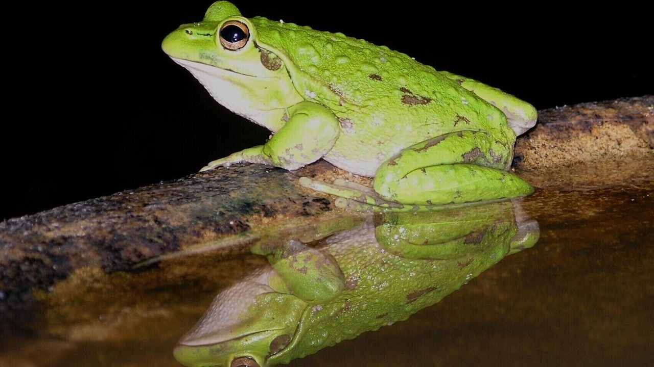 Photo of Others in Forest Grove
