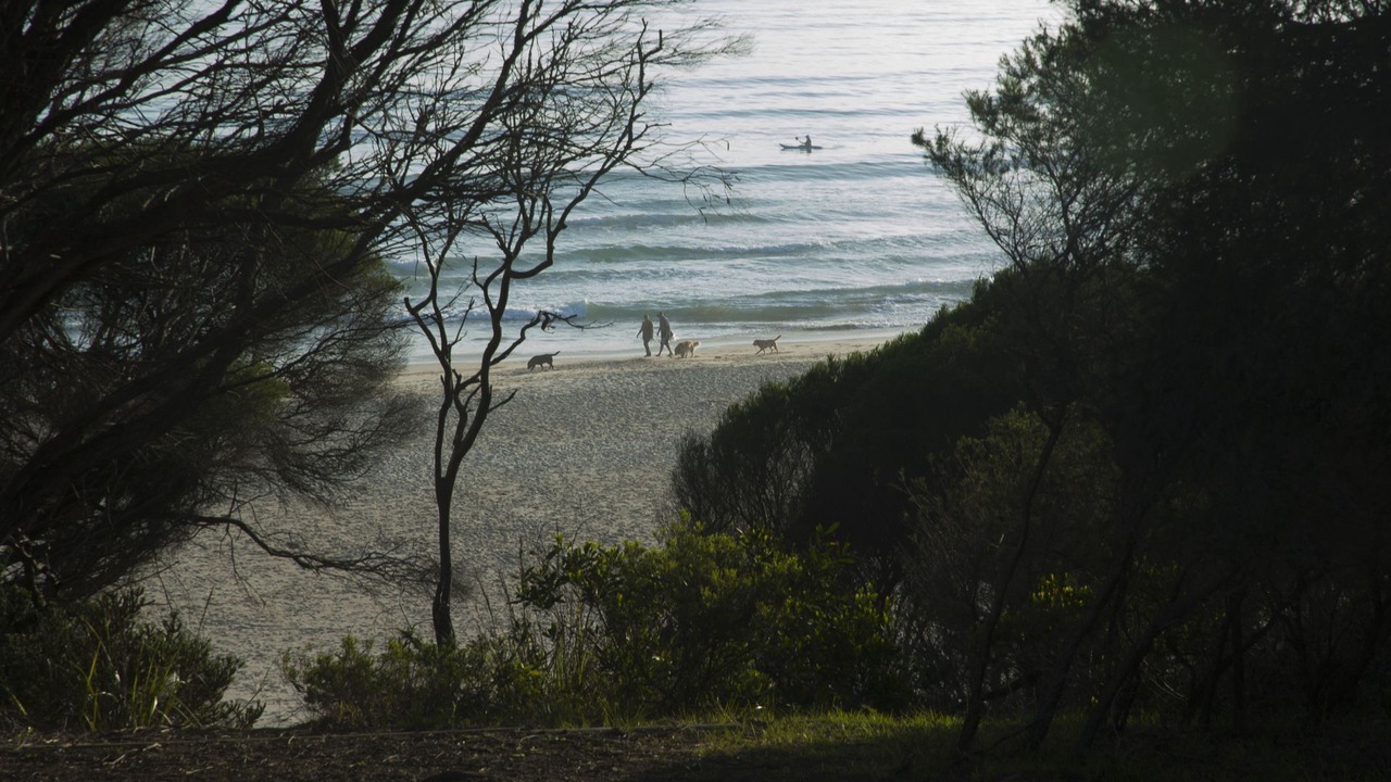 Photo of Others in Pambula Beach