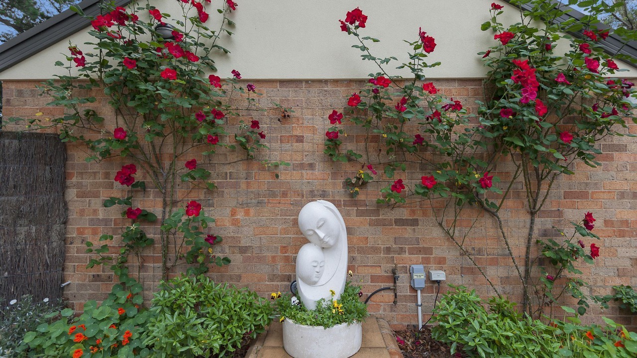Photo of Outdoor in Croydon