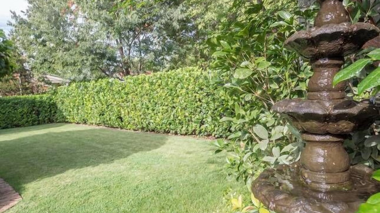 Photo of Outdoor in Orange