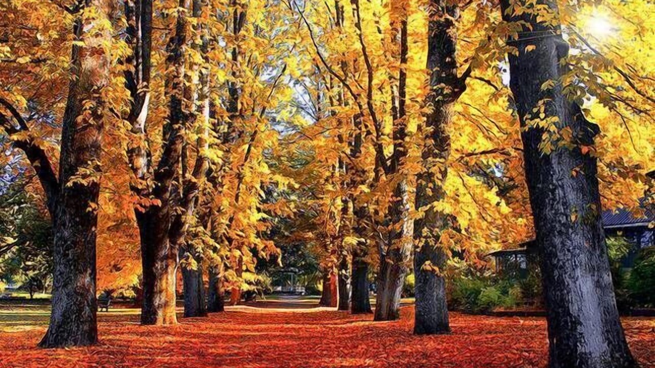 Photo of Outdoor in Orange