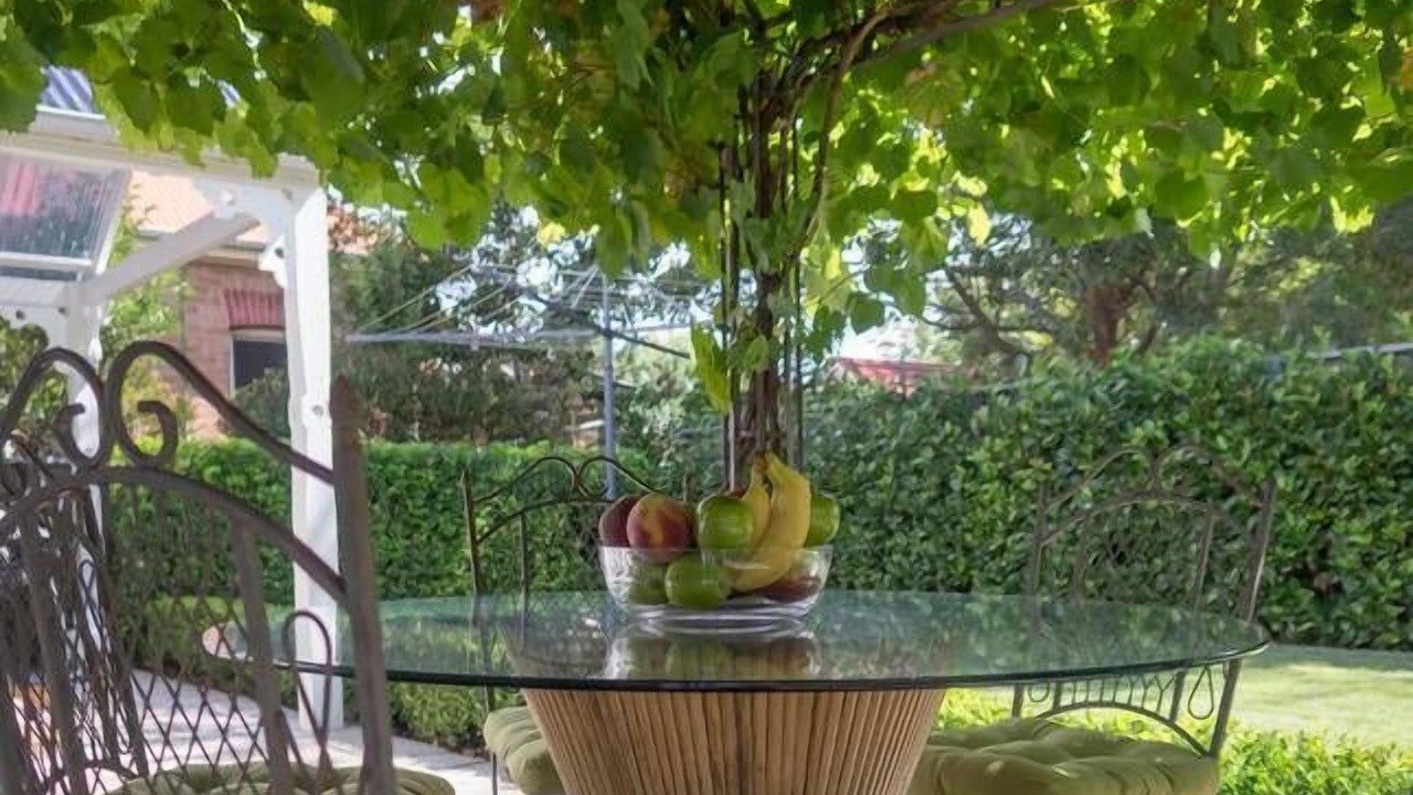 Photo of Outdoor in Orange