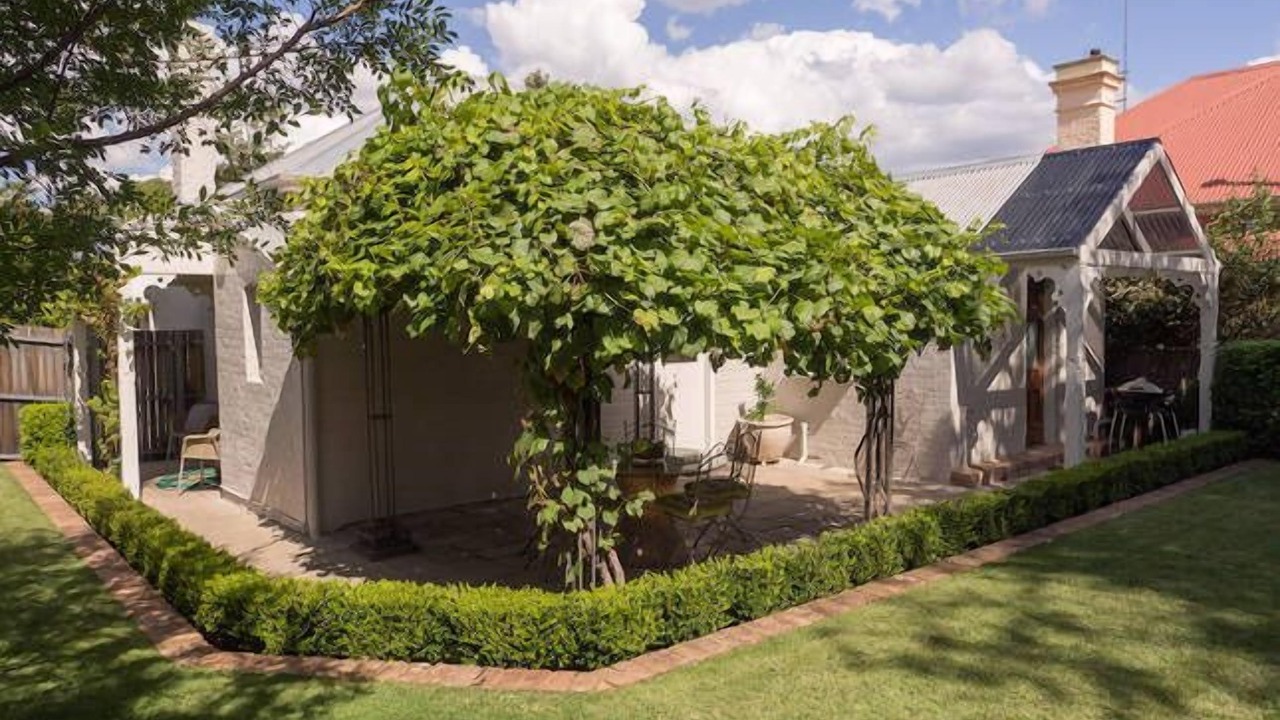 Photo of Outdoor in Orange