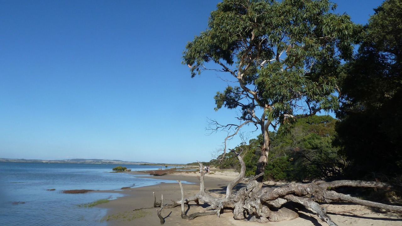 Photo of Others in Venus Bay