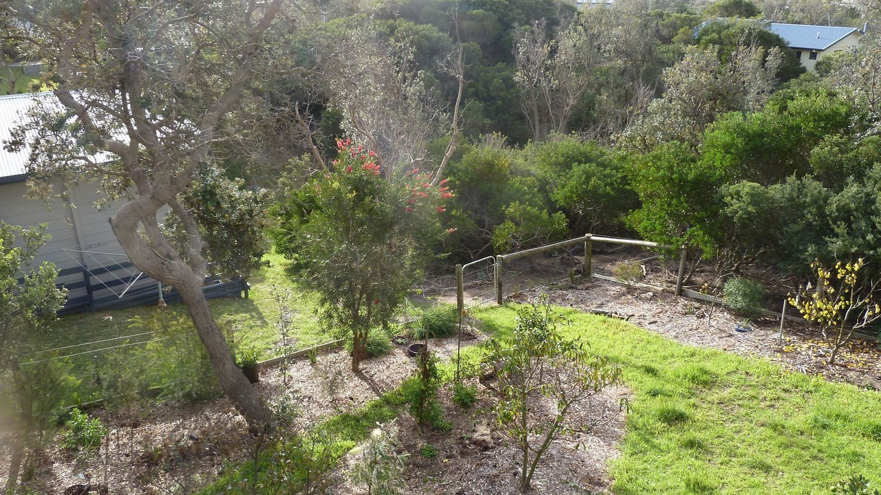 Photo of Outdoor in Venus Bay