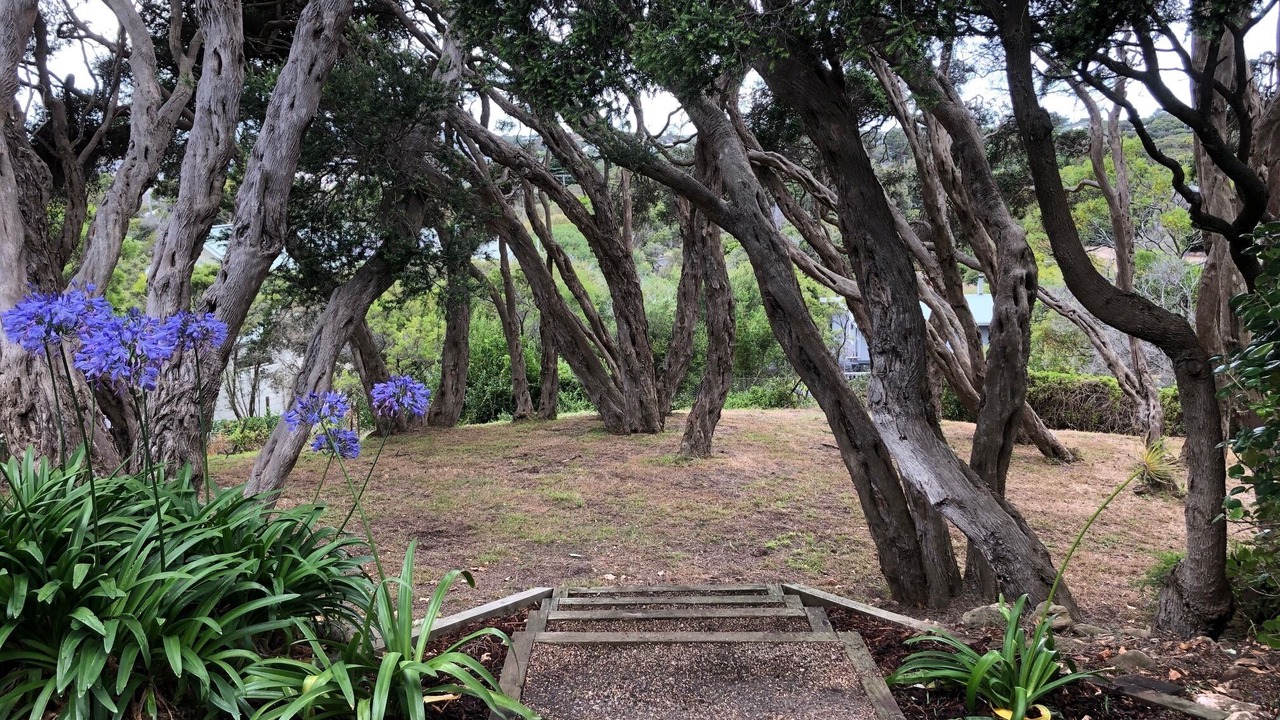 Photo of Outdoor in Sorrento