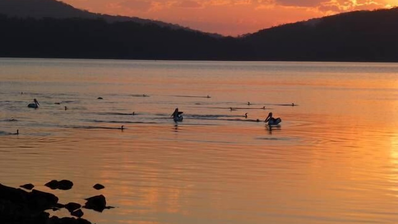 Photo of Others in Smiths Lake