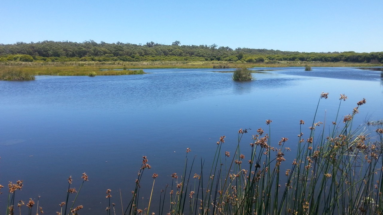 Photo of Others in Yanchep