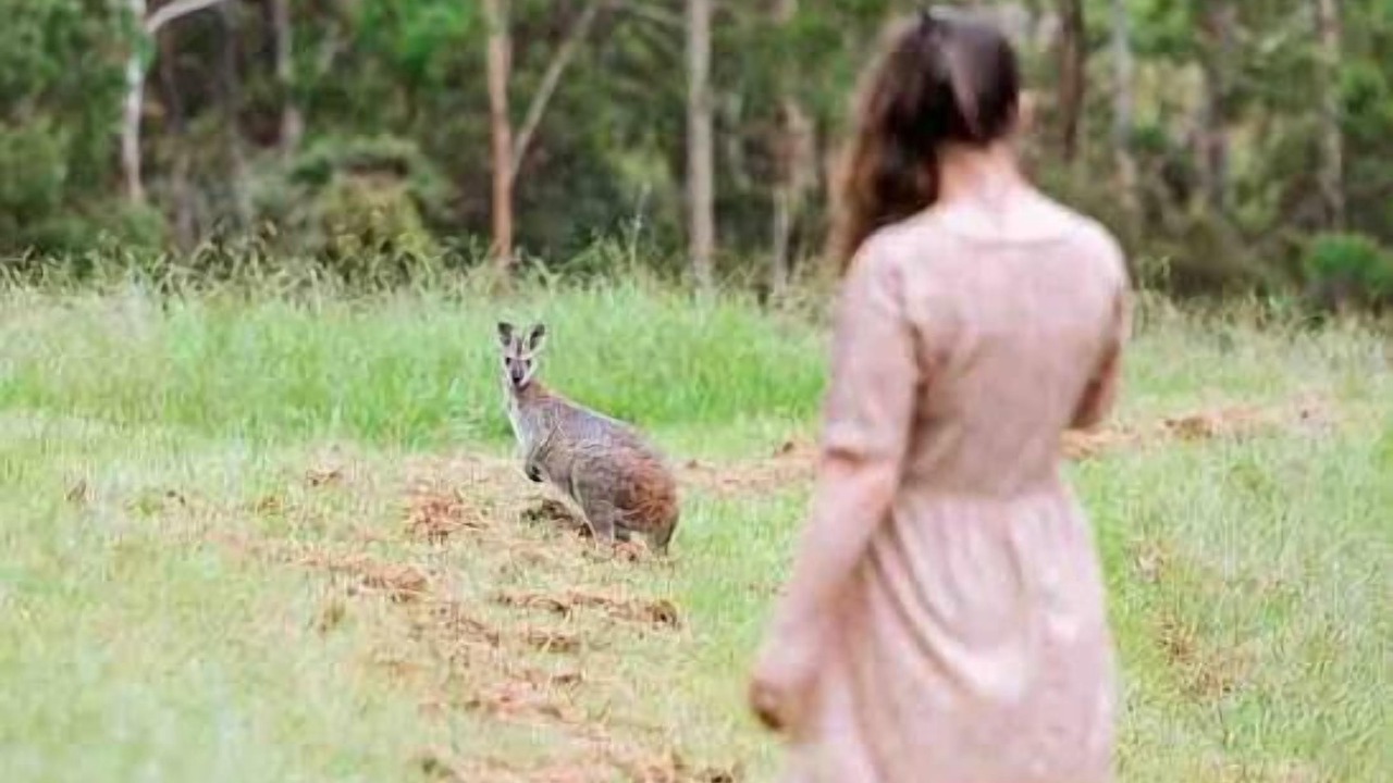Photo of Others in Bandon Grove