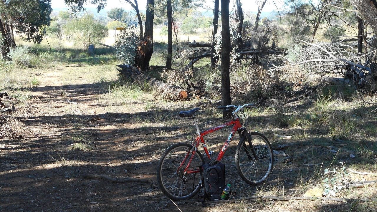 Photo of Others in Dunedoo