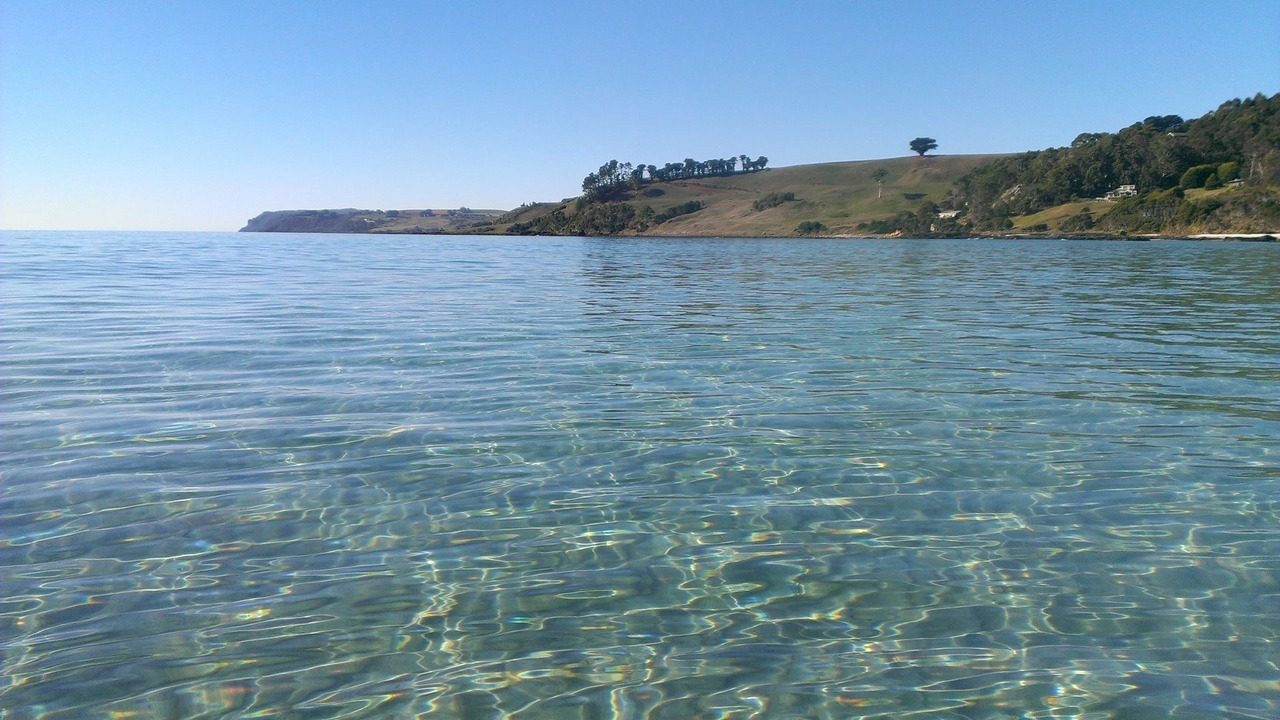 Photo of Others in Boat Harbour Beach