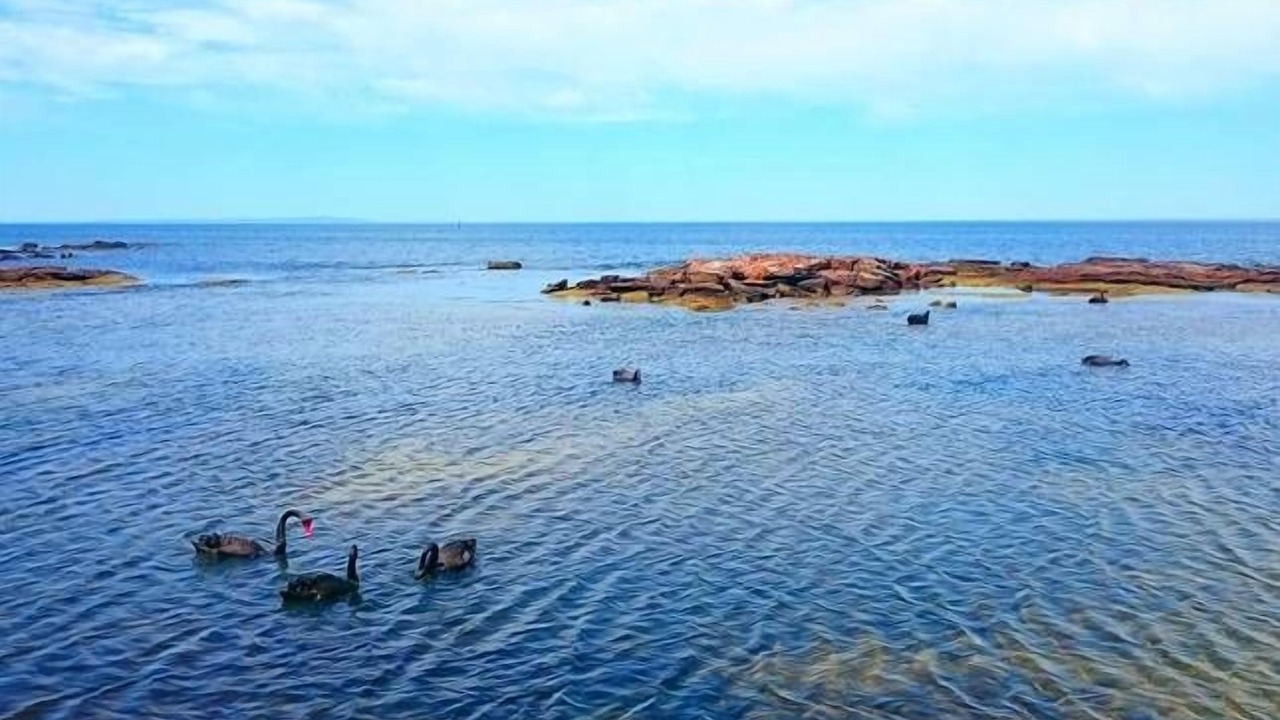 Photo of Others in Black Rock