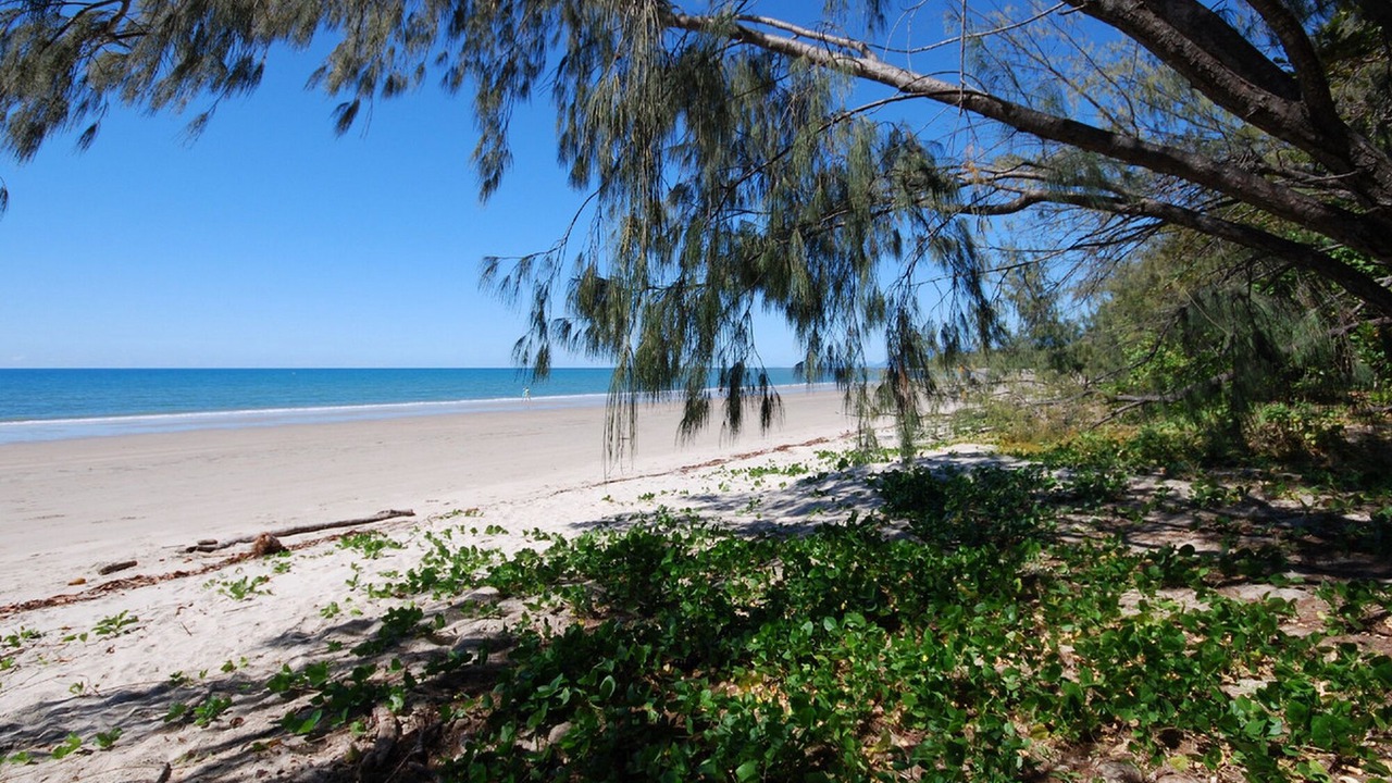 Photo of Others in Port Douglas