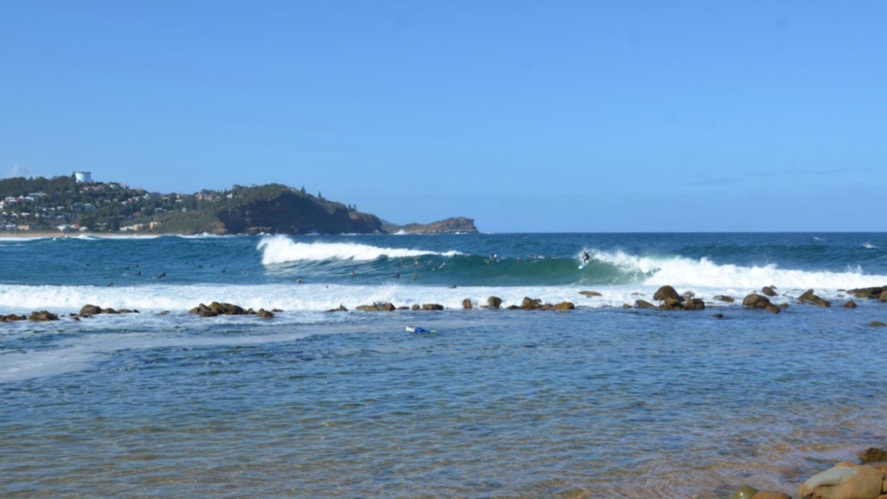 Photo of Others in Avoca Beach