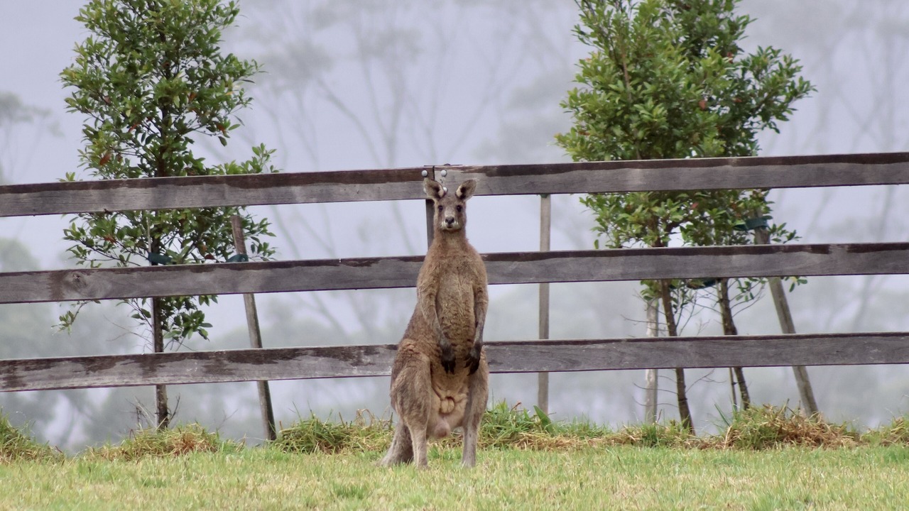 Photo of Outdoor in Barrengarry