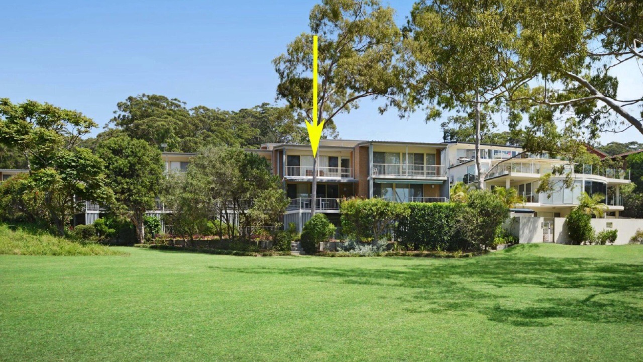 Photo of Outdoor in Avoca Beach