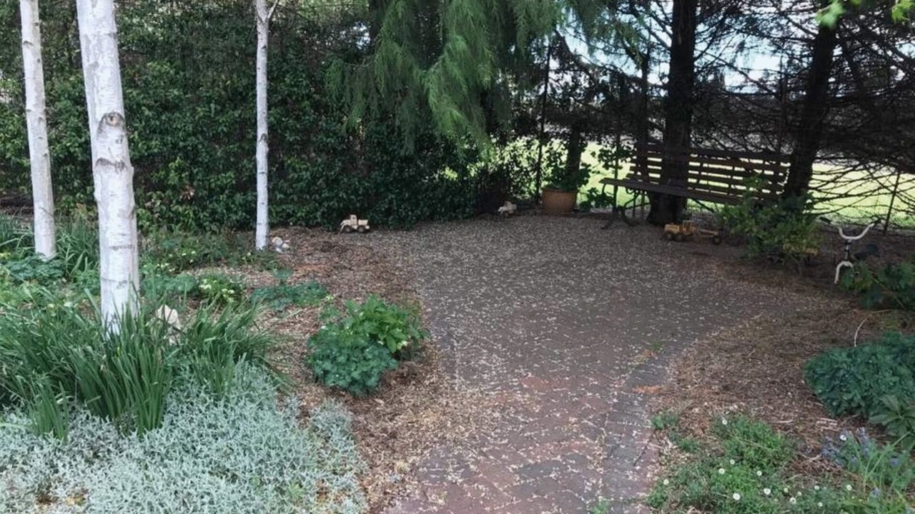 Photo of Outdoor in Borenore