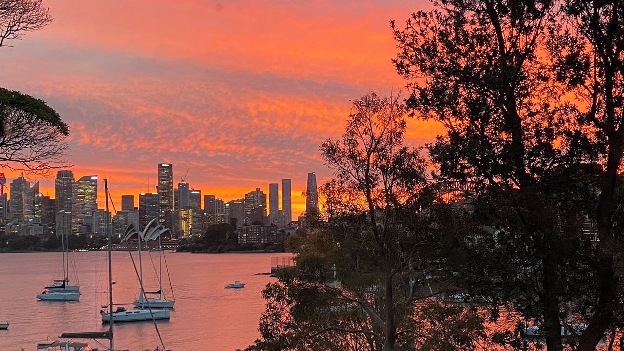 Photo of Others in Cremorne Point