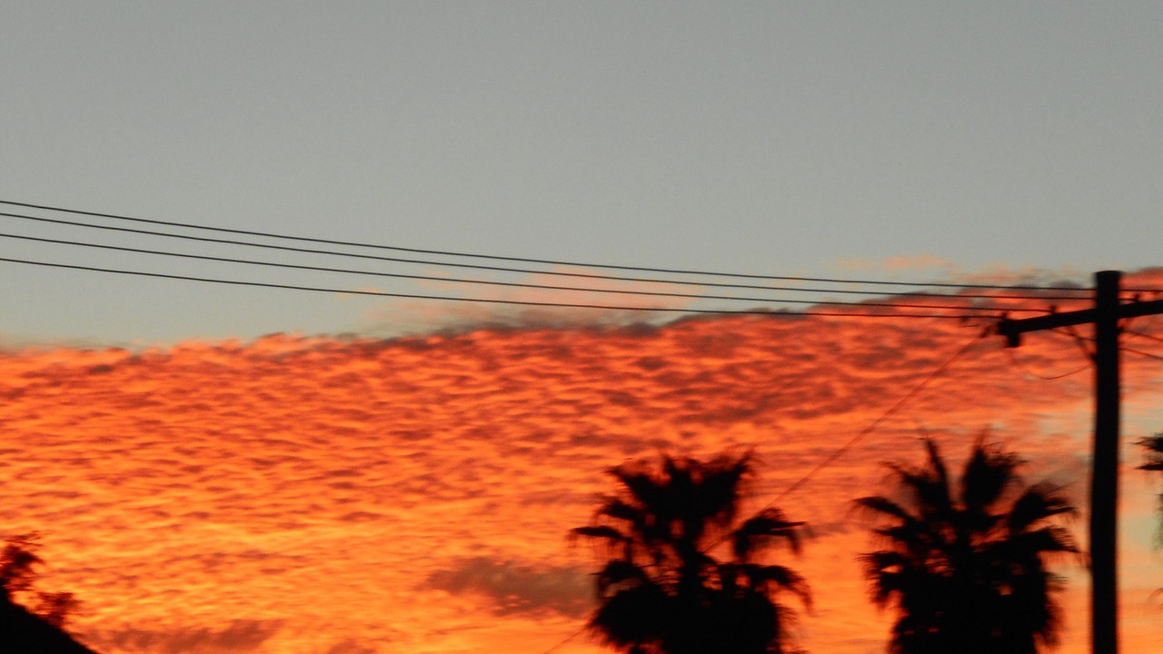 Photo of Others in Leeman