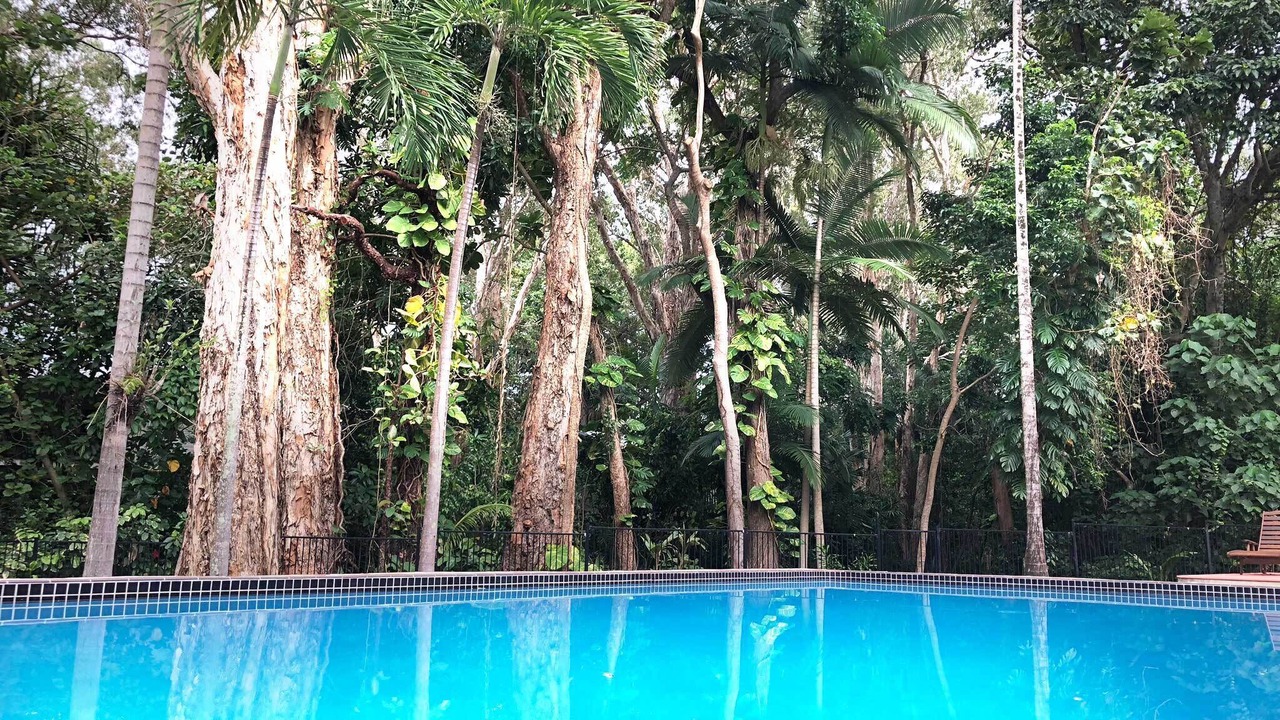 Photo of Others in Port Douglas