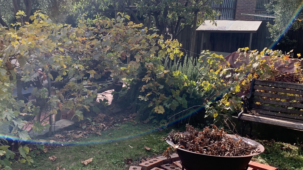 Photo of Outdoor in Portarlington