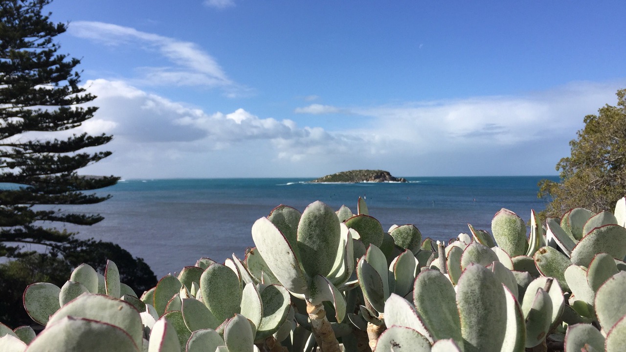 Photo of Others in Encounter Bay