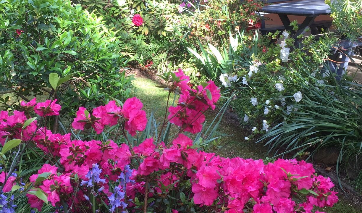 Photo of Outdoor in Bright