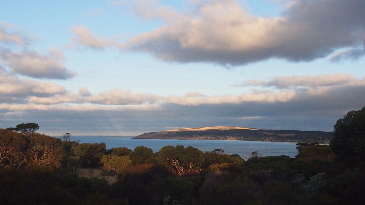 Photo of Others in Emu Bay