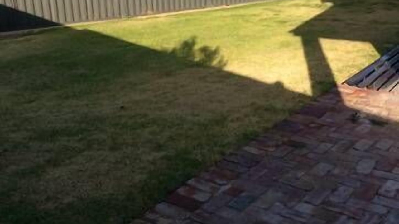 Photo of Outdoor in Green Head