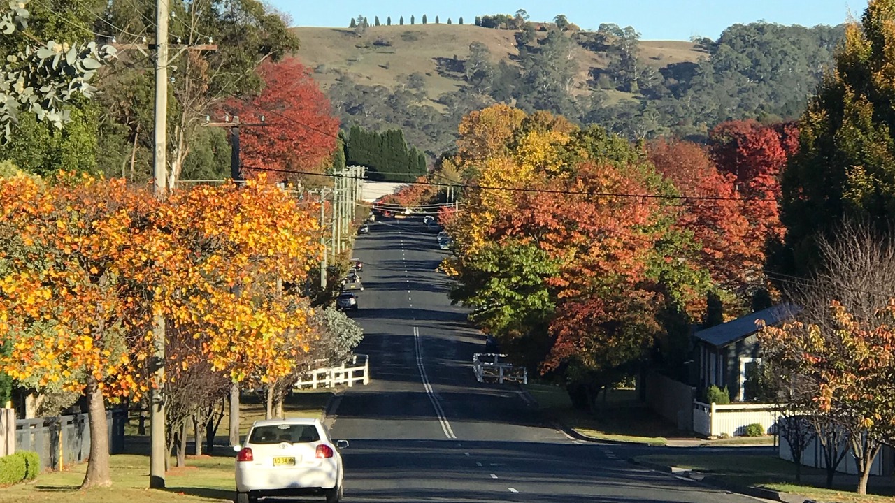 Photo of Others in Bowral