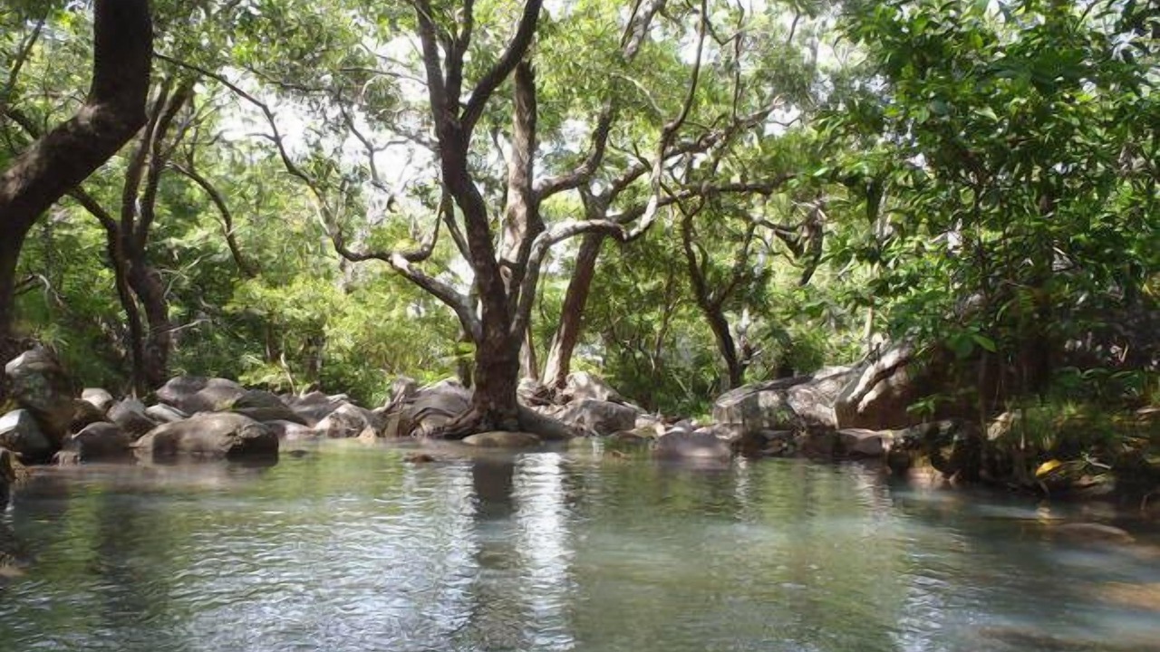 Photo of Outdoor in Arcadia