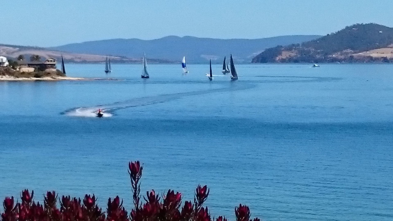 Photo of Others in Opossum Bay