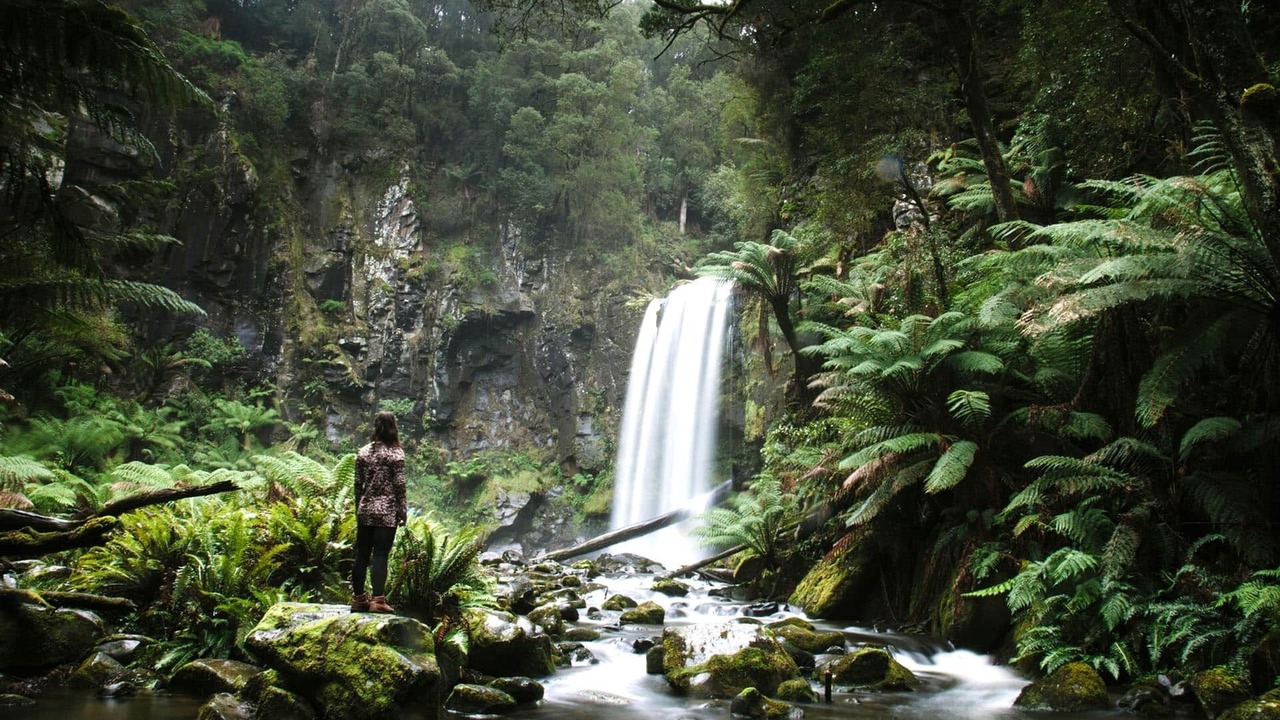 Photo of Others in Forrest