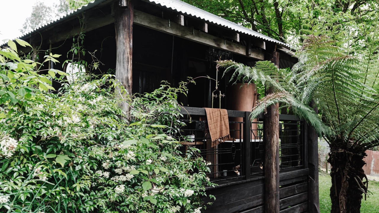 Photo of Outdoor in Forrest