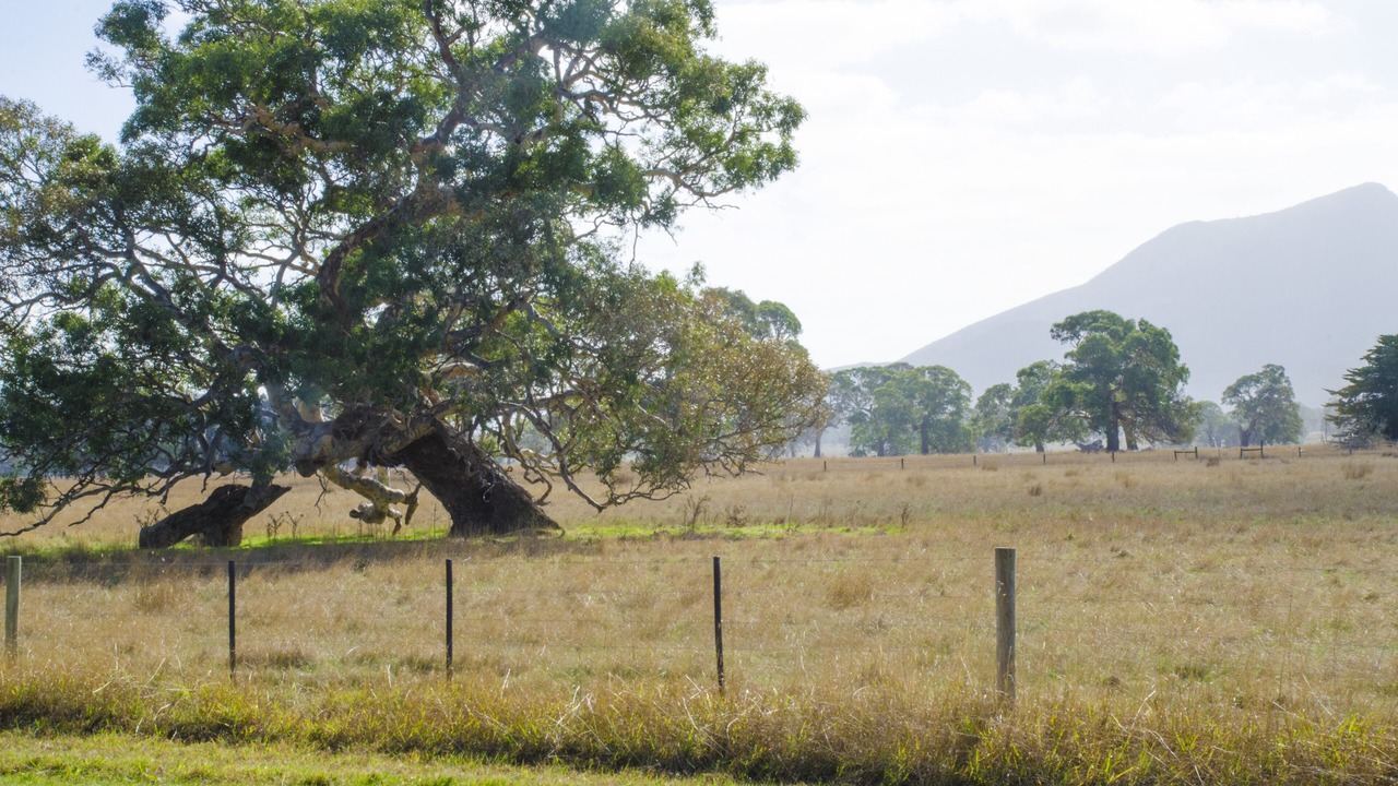 Photo of Outdoor in Dunkeld