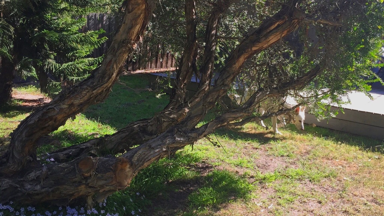 Photo of Outdoor in St Leonards