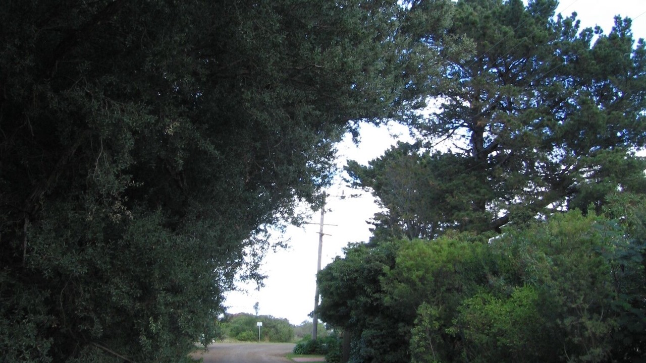 Photo of Others in St Leonards