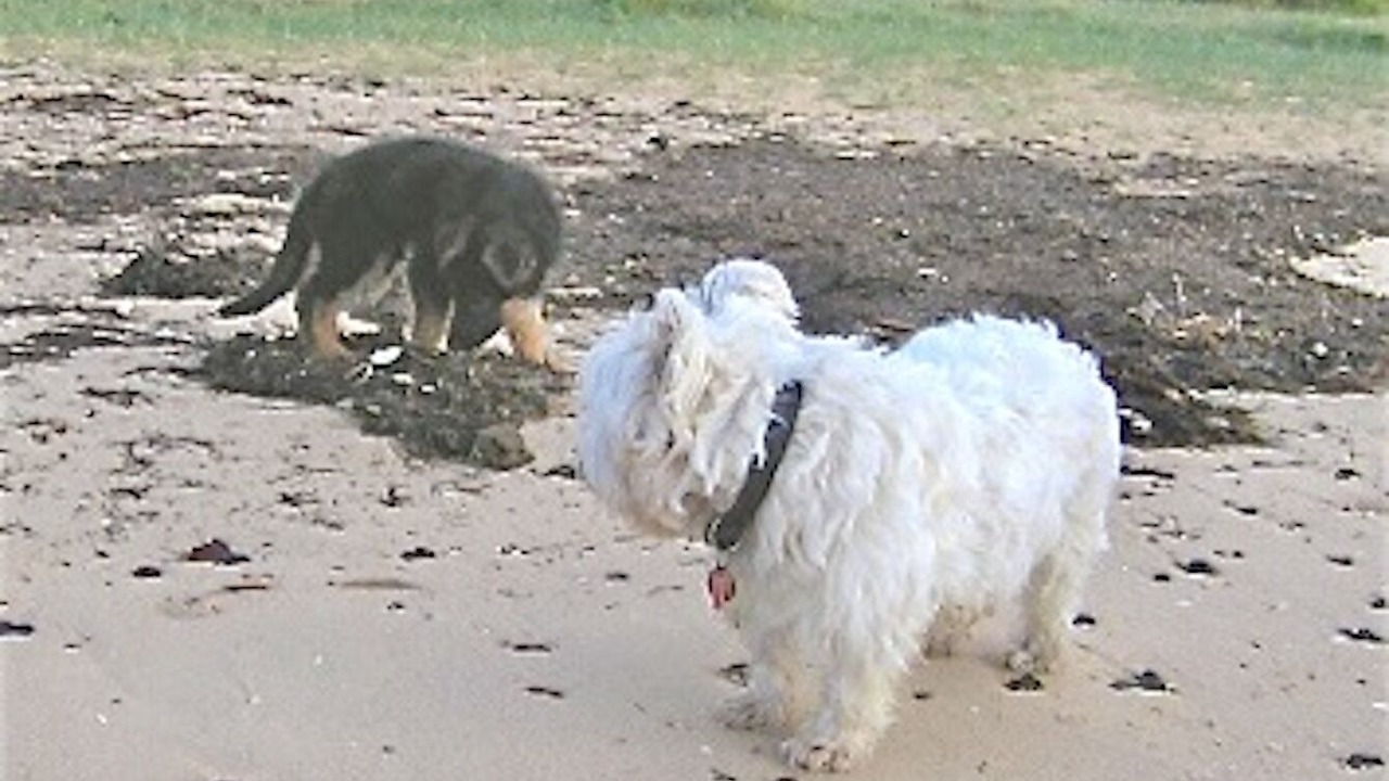 Photo of Others in St Leonards