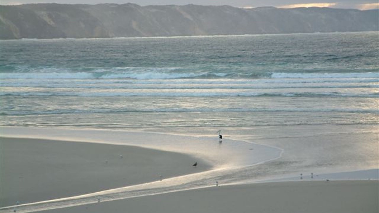 Photo of Others in Ocean Beach