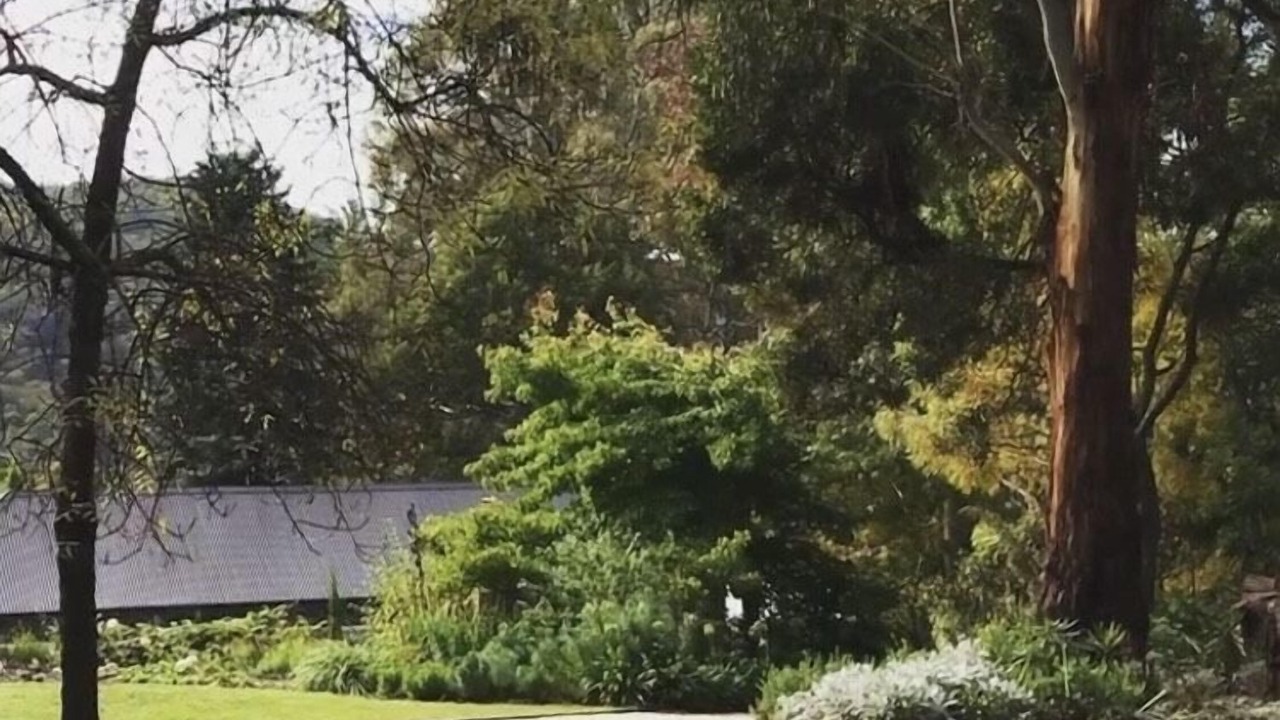 Photo of Outdoor in Blackwood