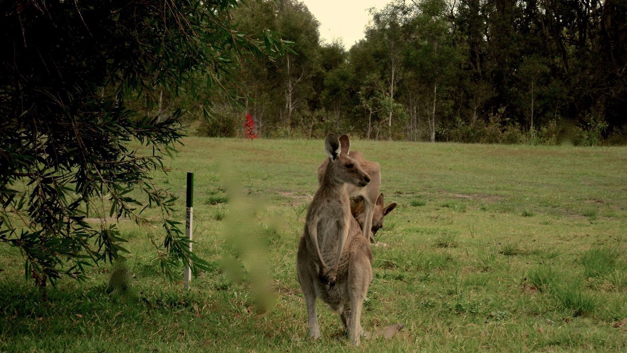 Photo of Others in Blackwood