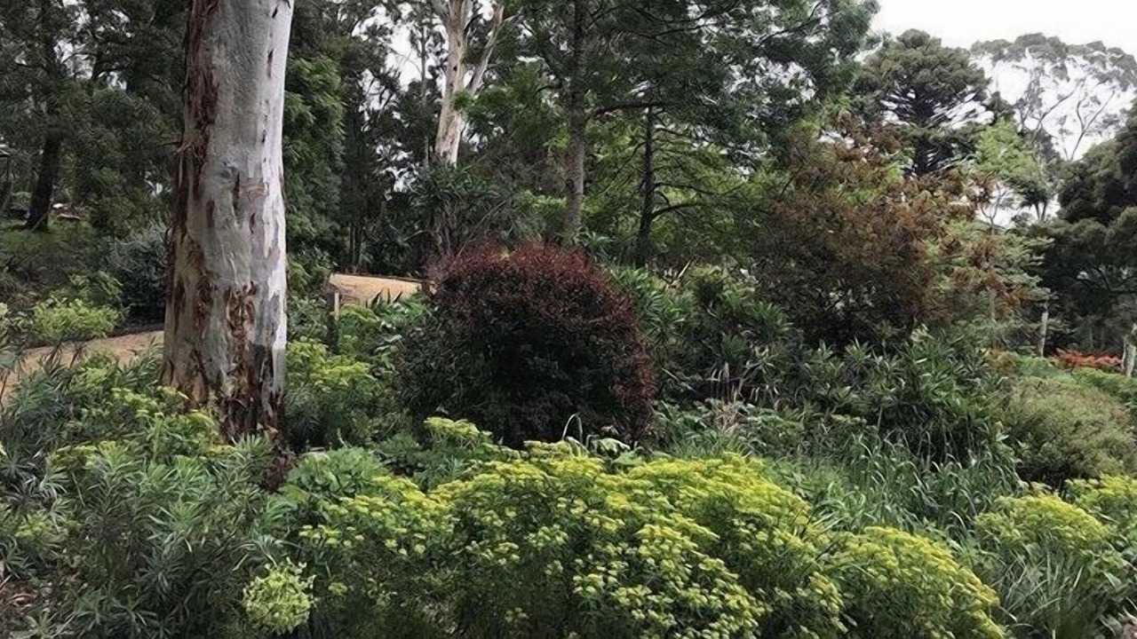 Photo of Outdoor in Blackwood