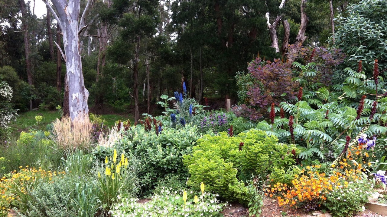Photo of Outdoor in Blackwood
