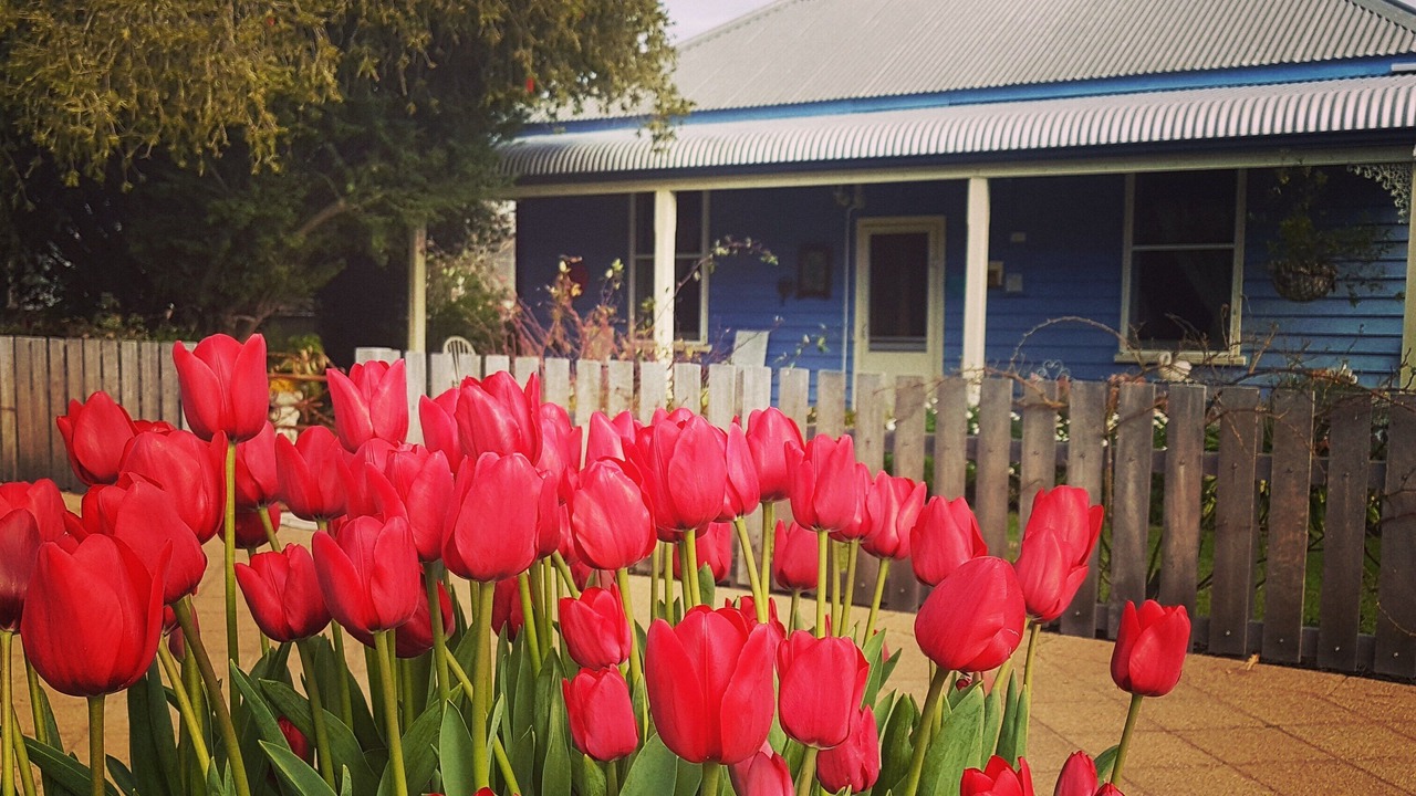 Photo of Outdoor in Nannup