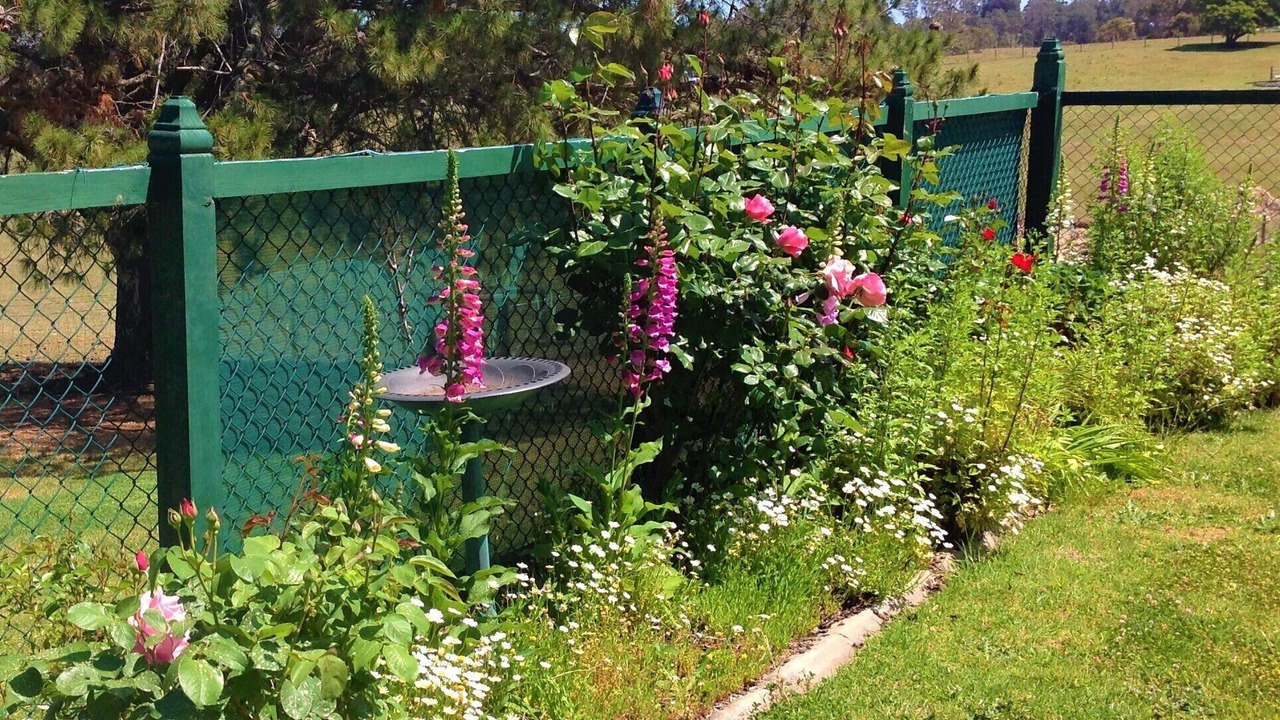 Photo of Outdoor in Kalimna West
