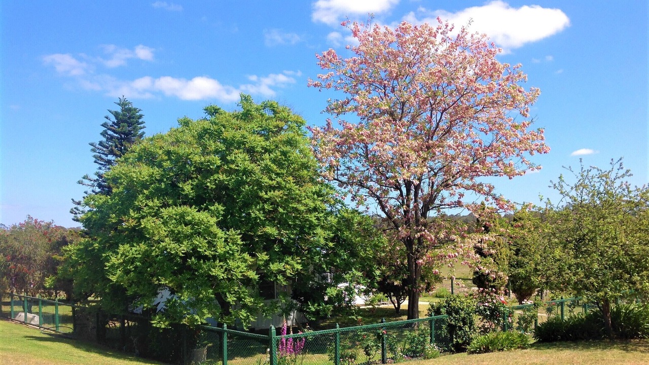 Photo of Outdoor in Kalimna West