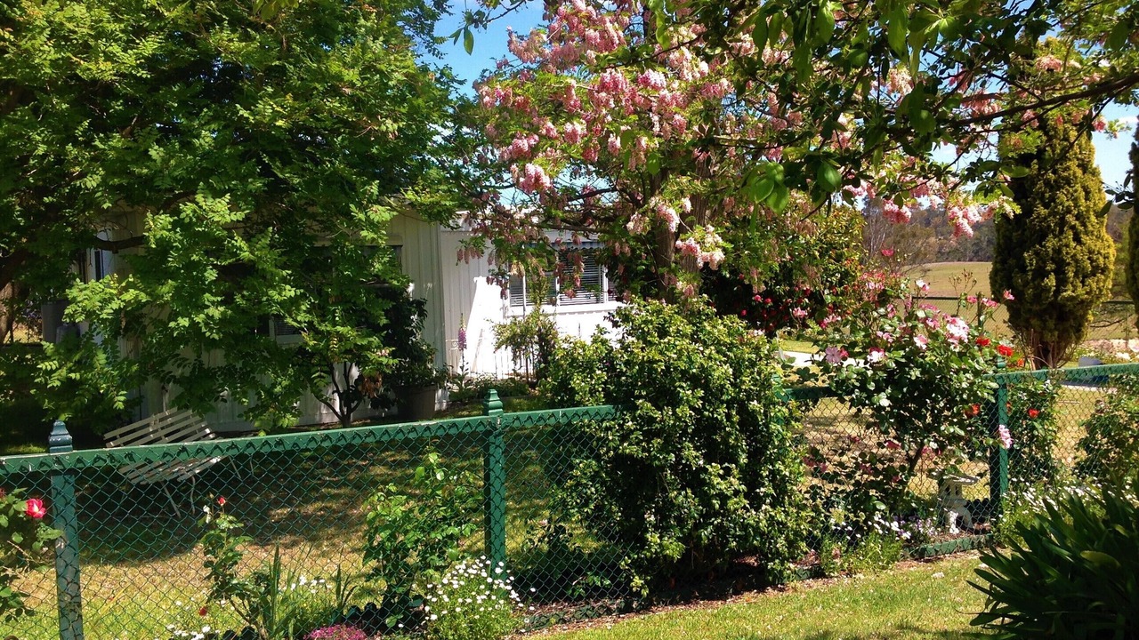 Photo of Outdoor in Kalimna West