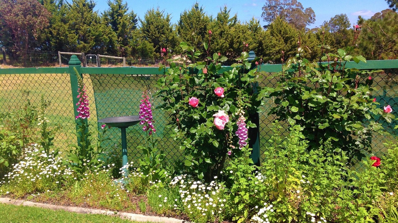 Photo of Outdoor in Kalimna West
