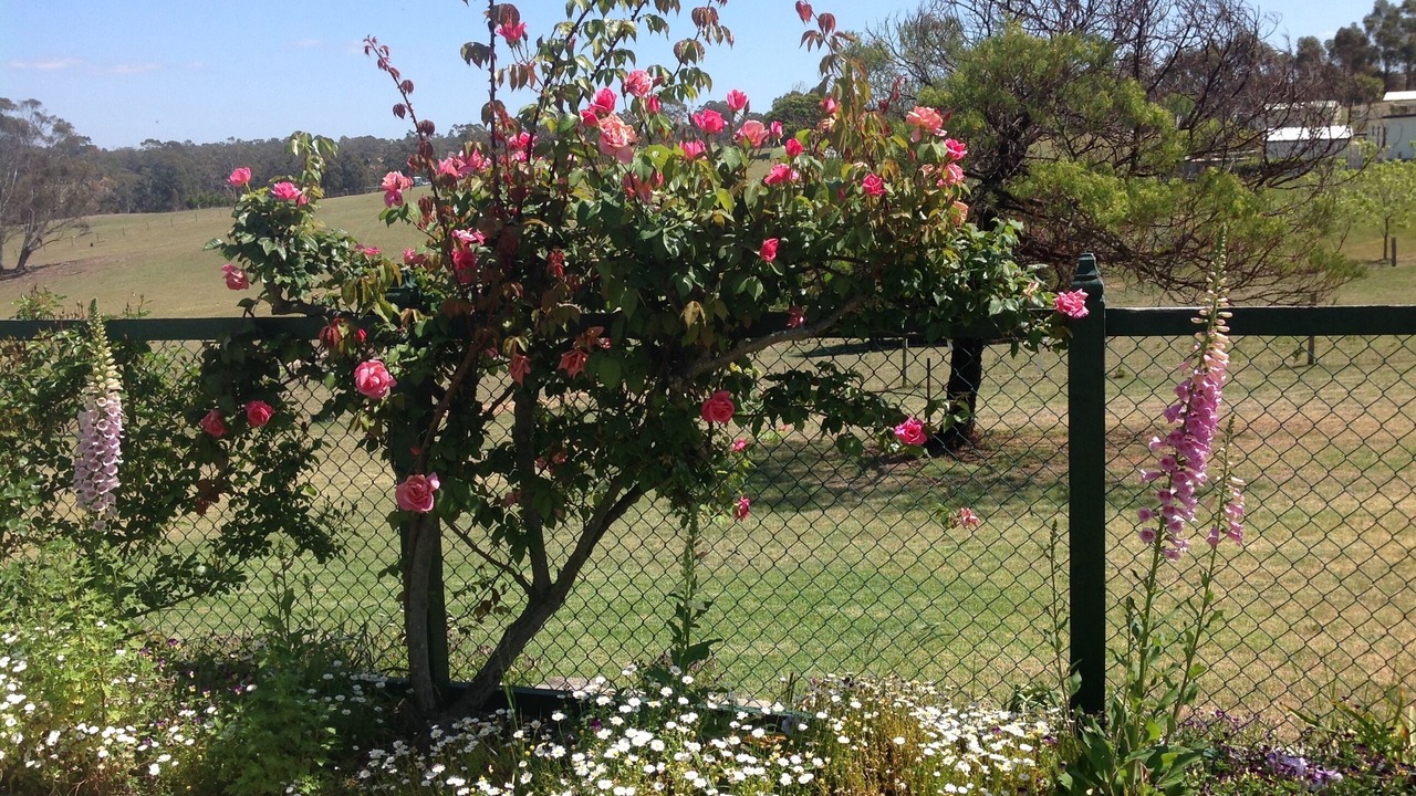 Photo of Outdoor in Kalimna West
